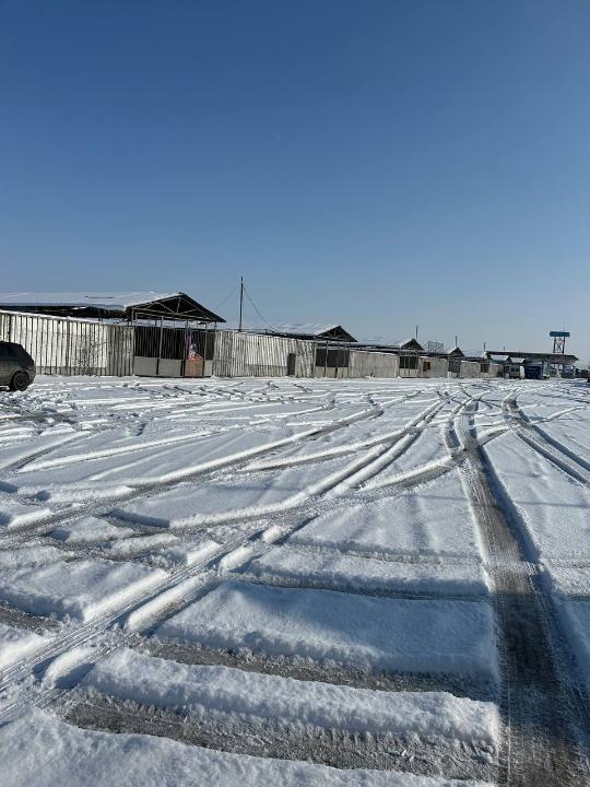 Болат Назарбаевтың иелігіндегі Қордай ауданындағы базардың жері мемлекетке қайтарылды