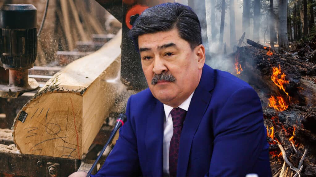 Абай облысында өртенген ағаштарды өңдеу үшін зауыт салу мақсатында инвестор тартылмақ – Экология министрі