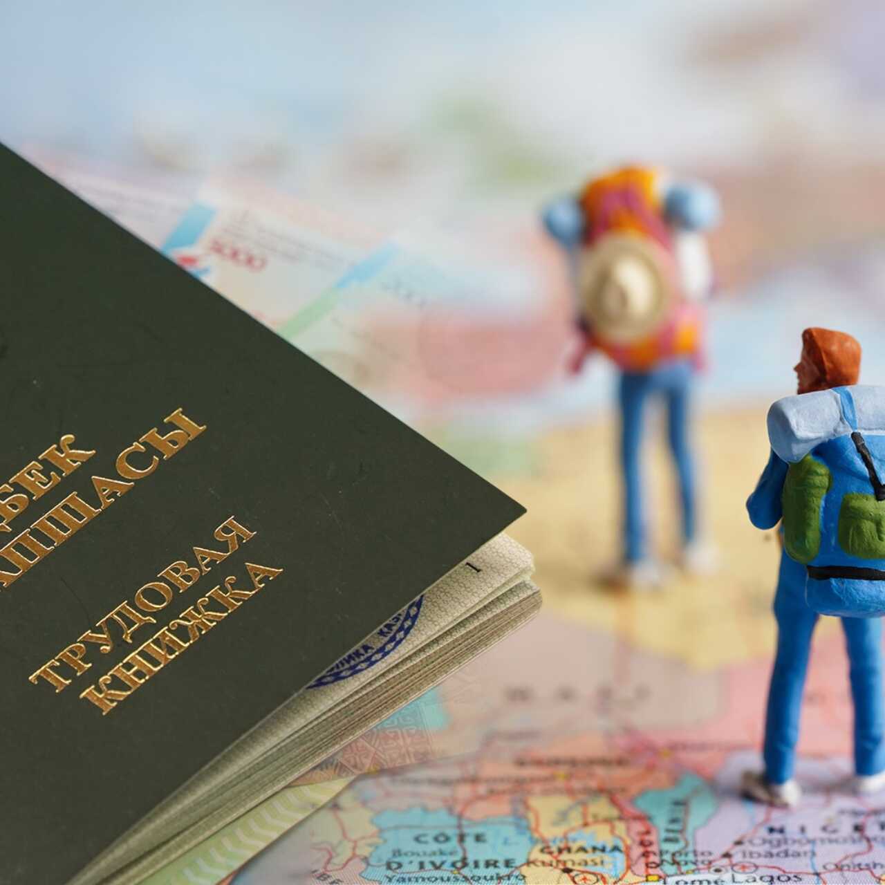 Шәует фотосымен жабылған жыртылған есек