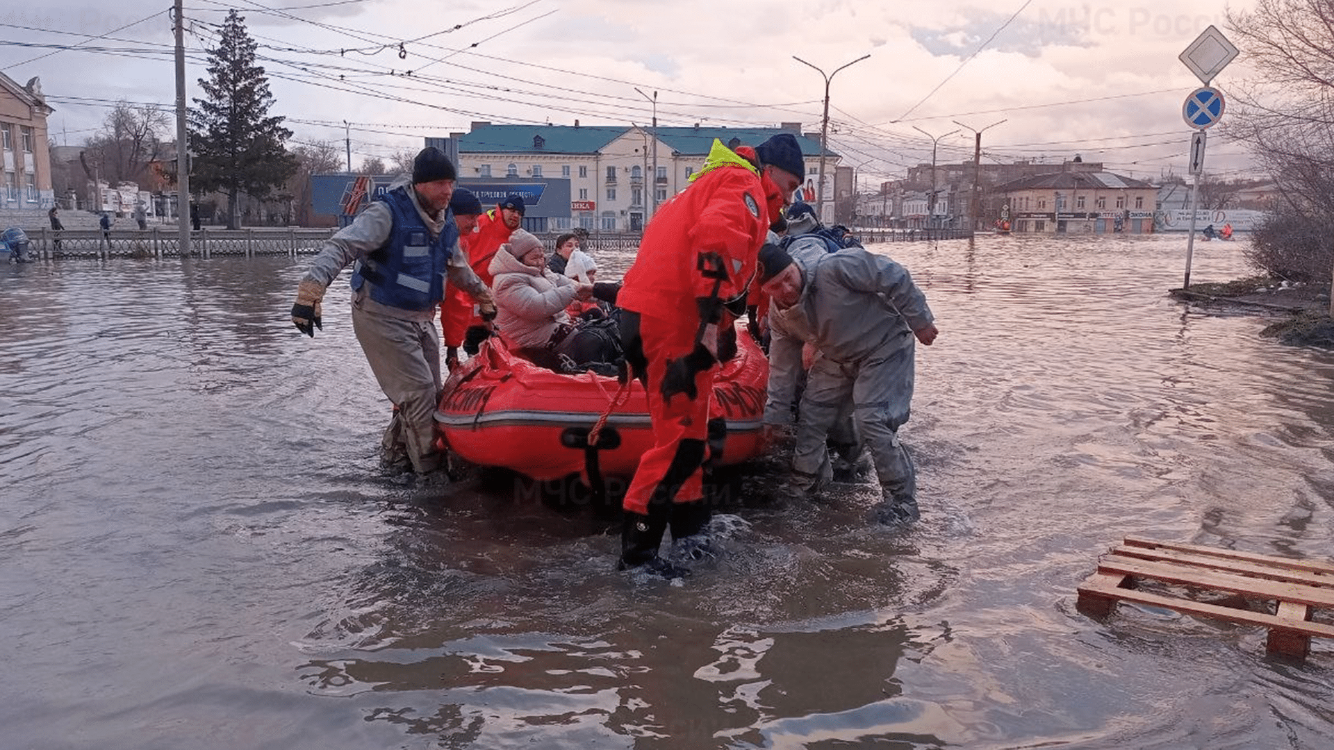 Көшеде бір қыз менің сигімді жұлып алды
