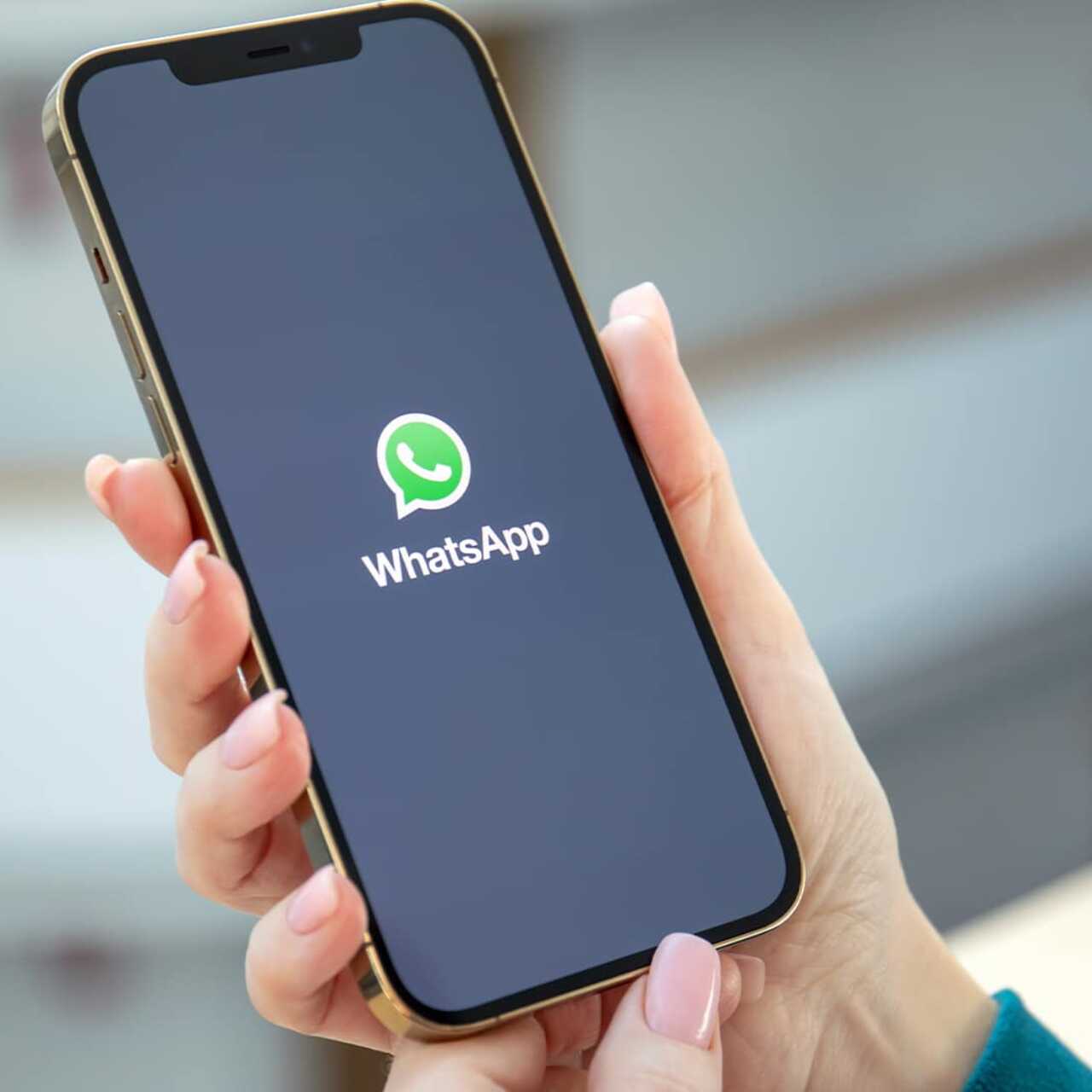 В WhatsApp теперь можно разделить чаты по трем категориям