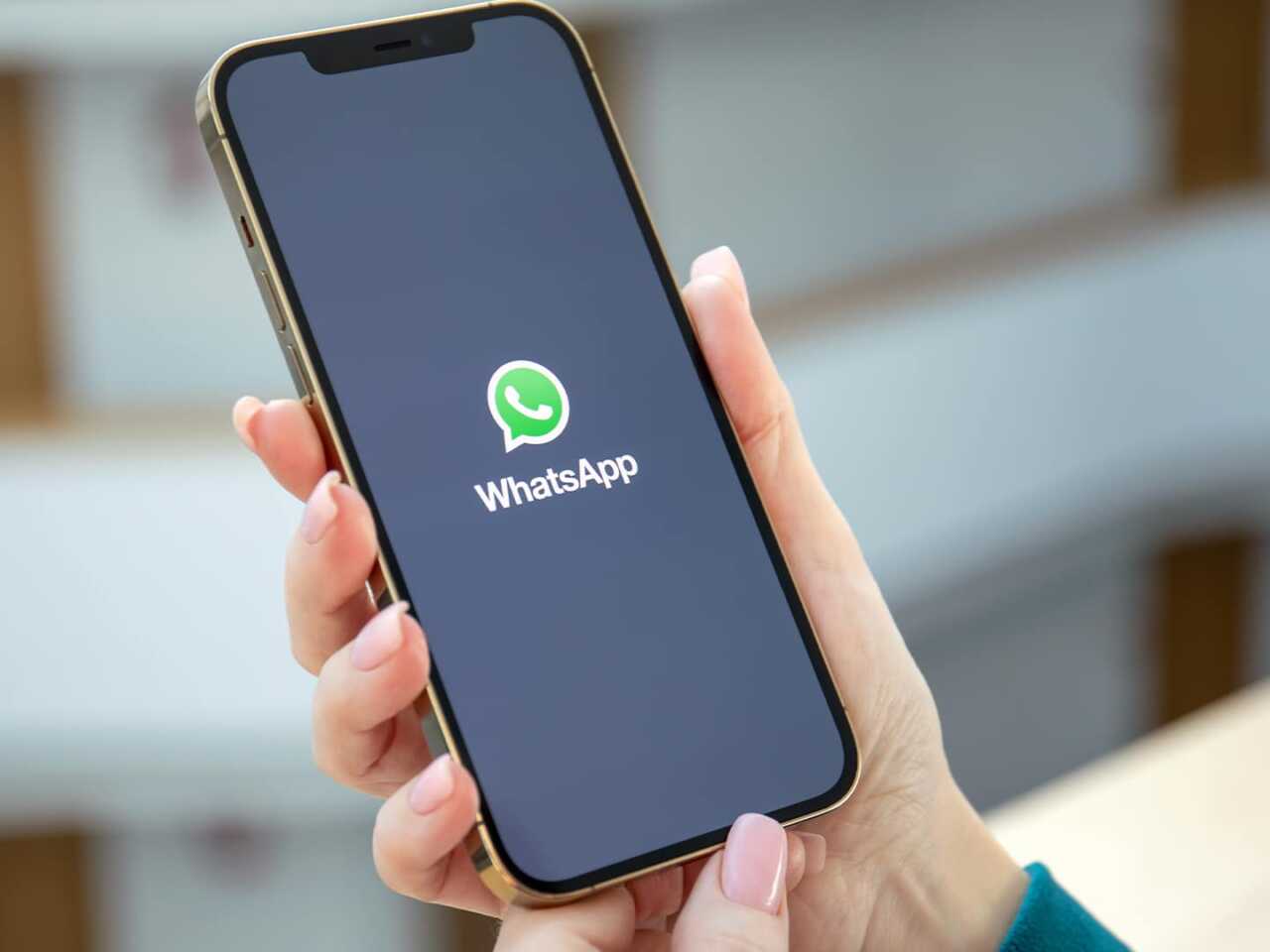 В WhatsApp теперь можно разделить чаты по трем категориям