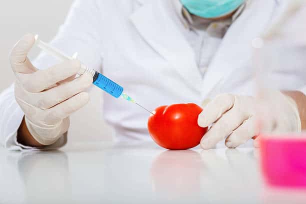 Қазақстанға Ресейден әкелінген қызанақтардан вирус анықталды