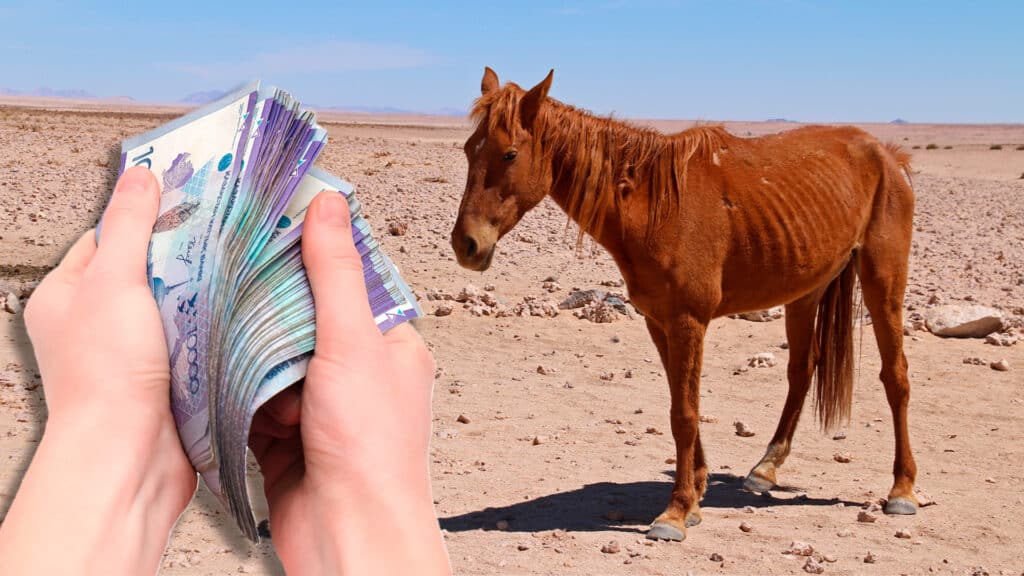 Бұл – жұт емес: Ауыл шаруашылығы министрлігі Ұлытау мен Қарағанды  облыстарында қырылған жылқылар үшін өтемақы берілмейтінін айтты