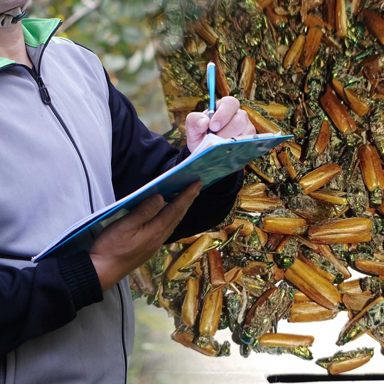 Қызықты Кама Сутра секс позициялары