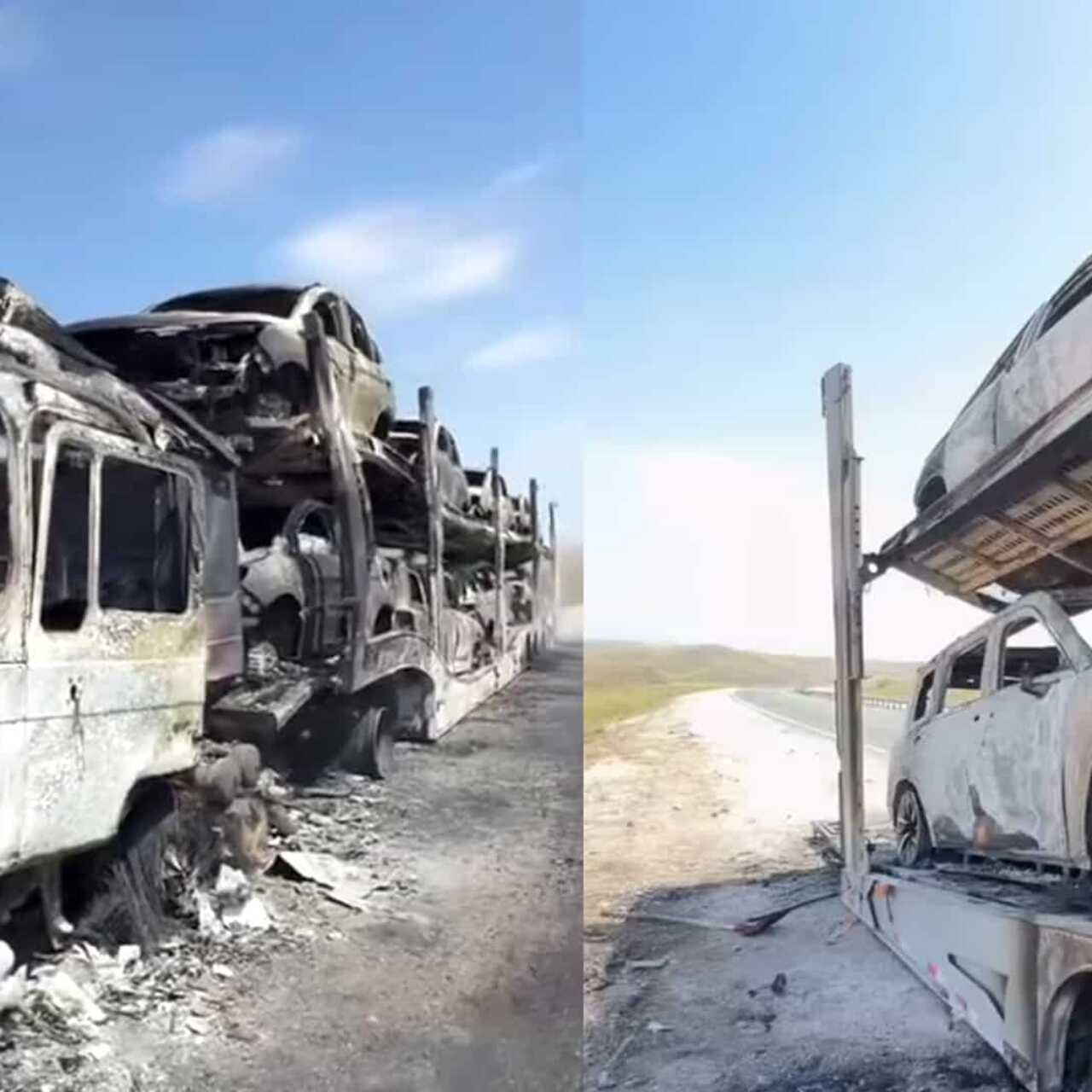 Порно фотосуреттер Африкалық порно шошқа банкі