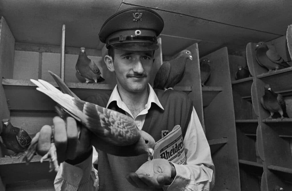 Postman Jan Bruins and a carrier pigeons from Wymeer. This shot was taken Novermber 11. 1990. | usage worldwide (Photo by Thomas Wattenberg/picture alliance via Getty Images)