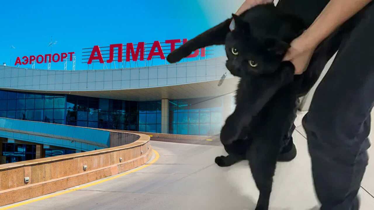 Нағыз әдемі секс