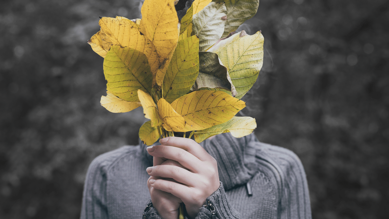 Тарзан эротика фильмін онлайн көріңіз