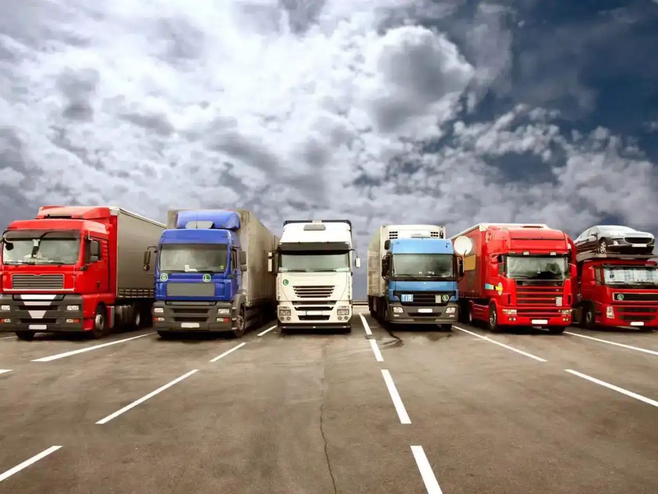 Жүк көліктері жалаңаш балапандарды Жүк көліктері жалаңаш балапандарды