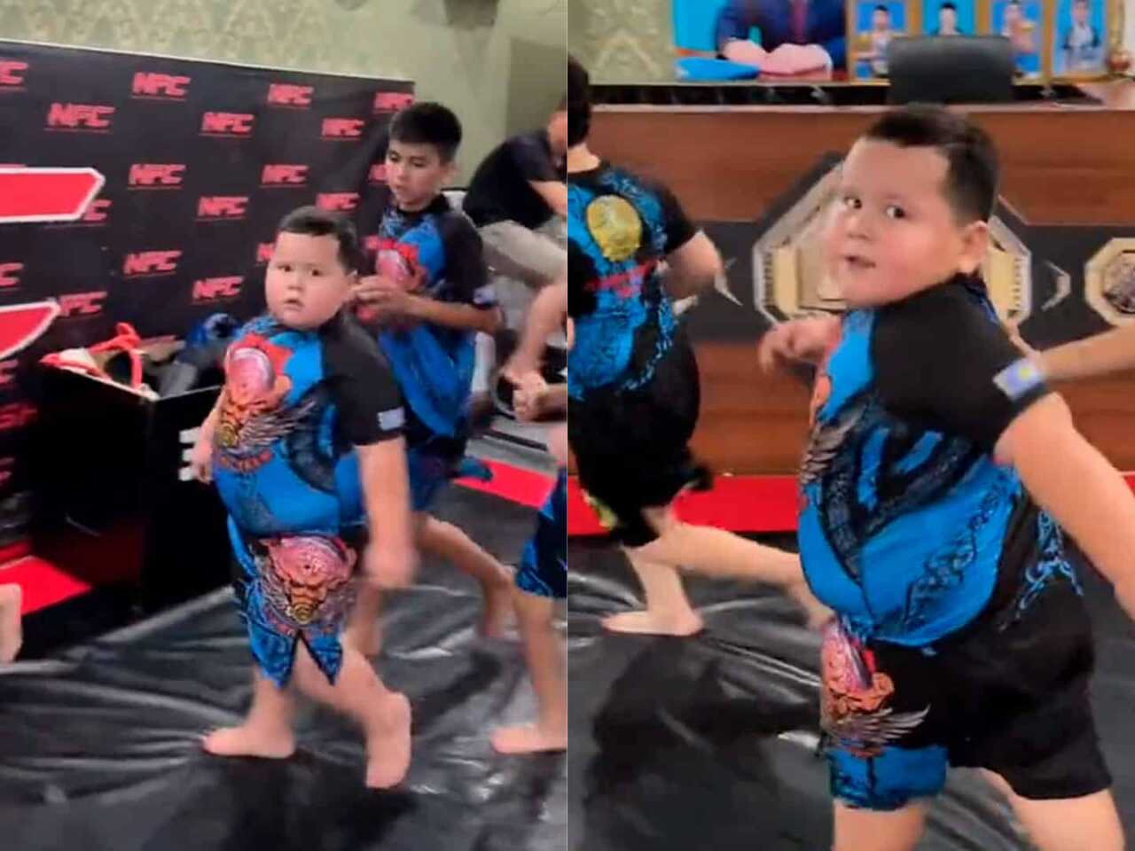 Волосатые жопы порно