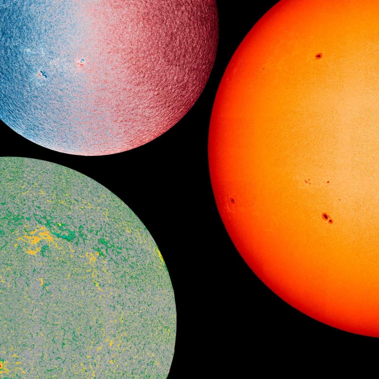 Анастасия Орлова, тележүргізуші