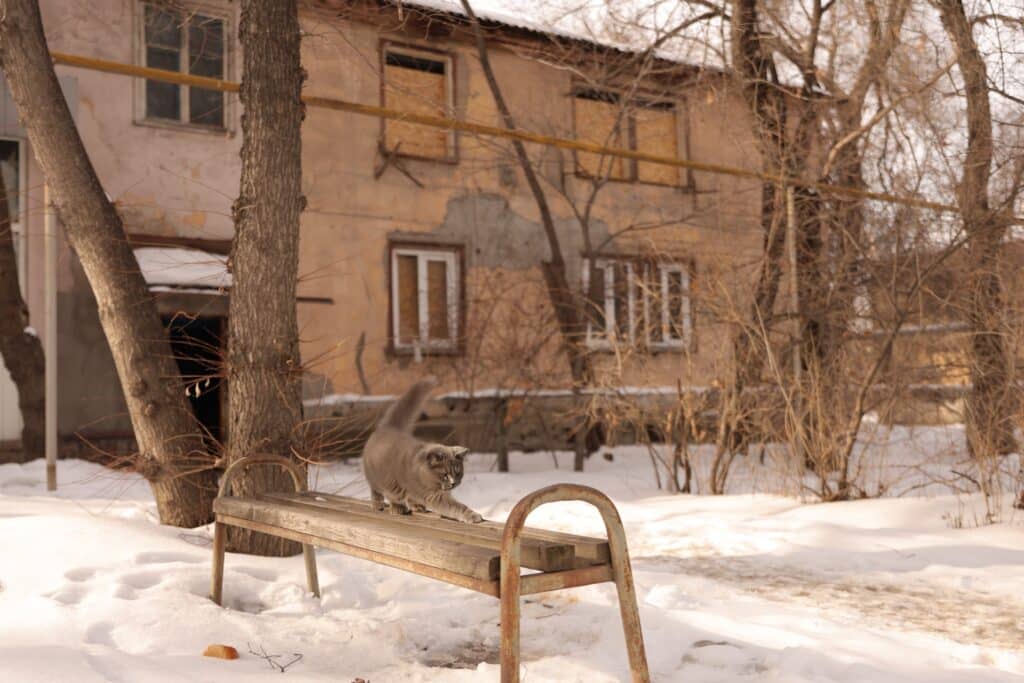 Фото: Илья Ким