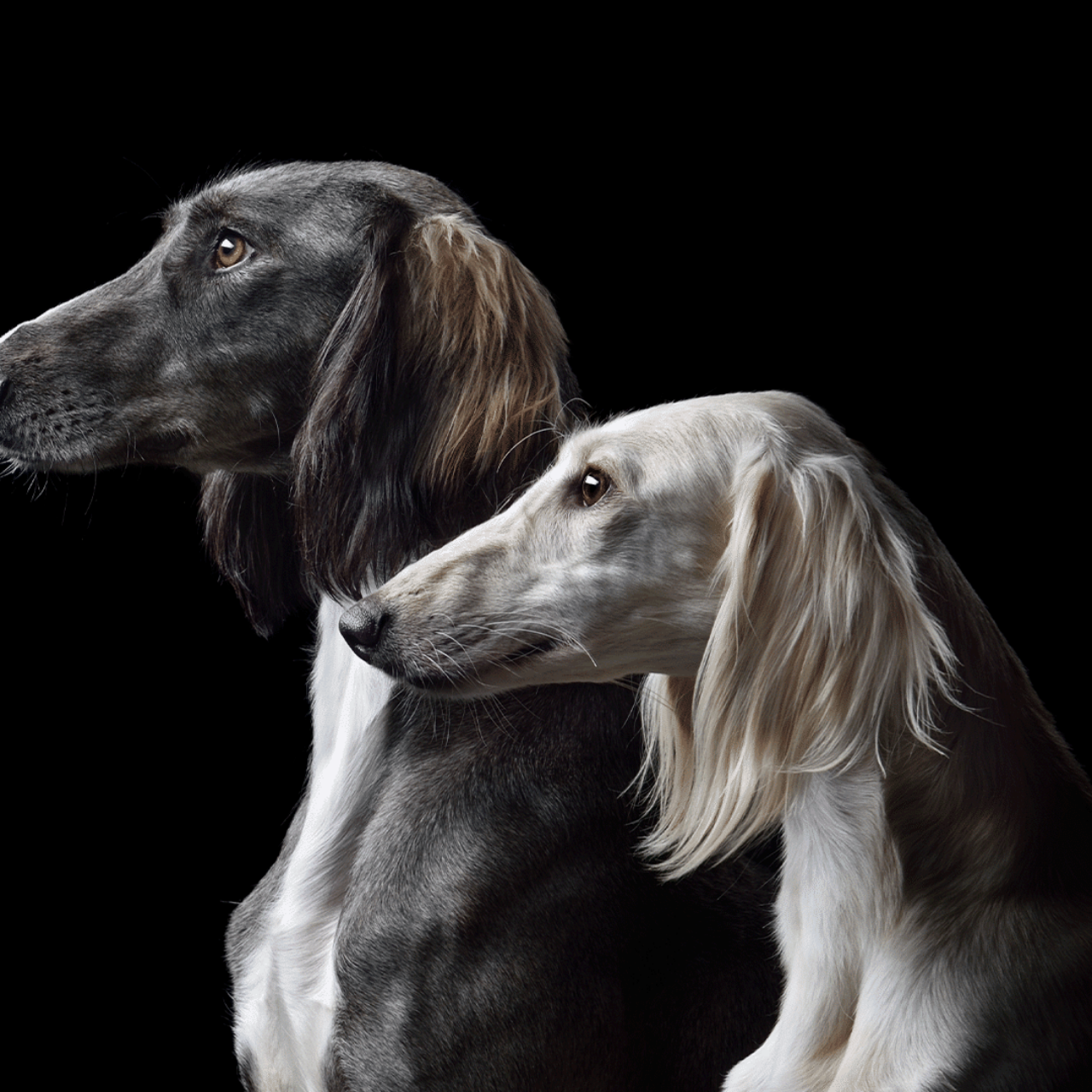 Мастурбатор камминг бейне