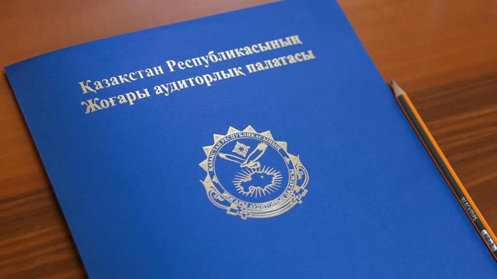 госаудит