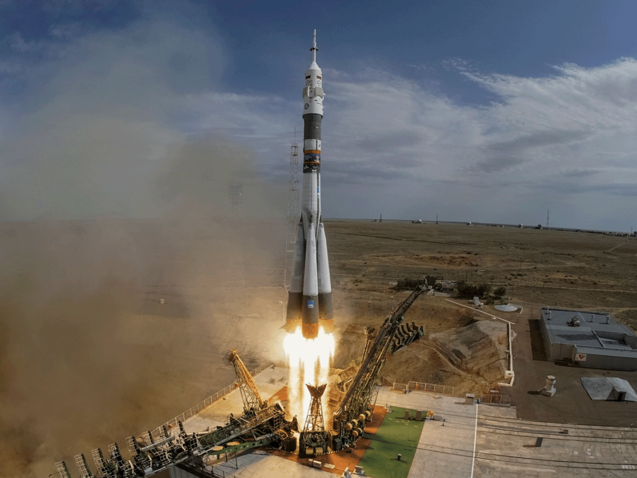 Құмырада сперматозоид