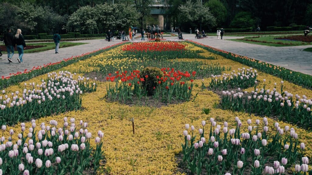 Фото: Делия Айдаралиева