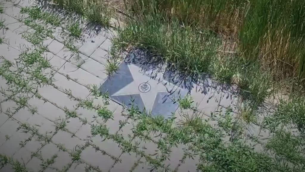 Аллея чемпионов Казахстана заросла сорняками в Караганде