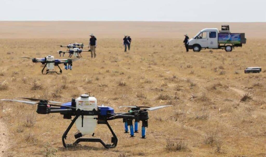 Шегірткеге қарсы күрес: 14 өңірде 464 мың гектардан астам алқап өңделген