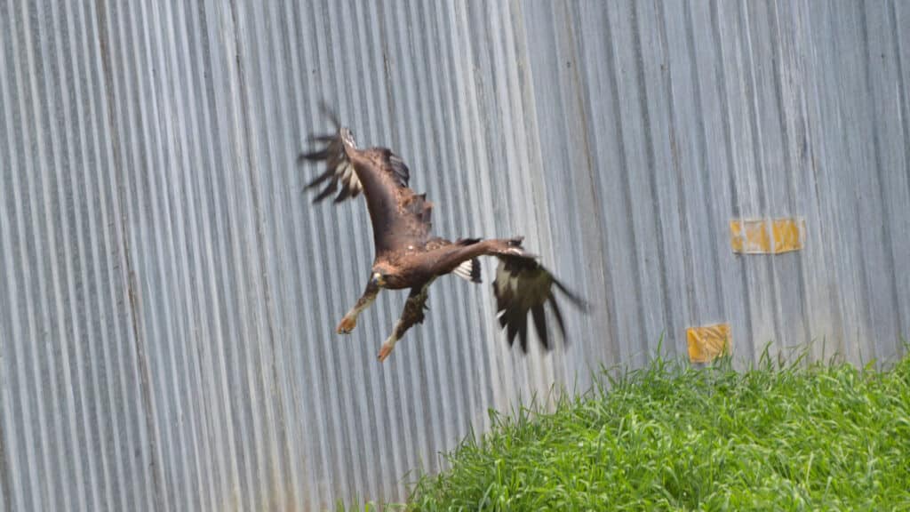 Фото: Даниил Девяткин