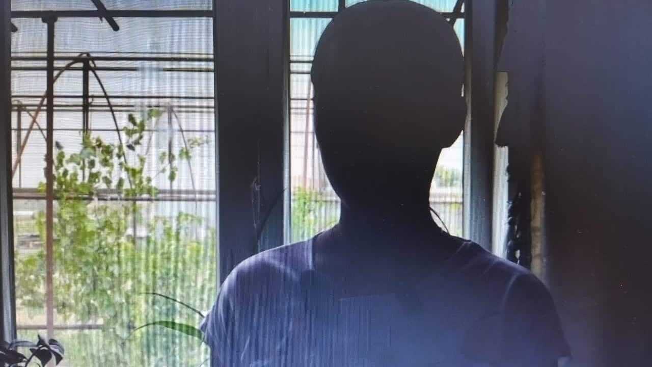 Жетілген письки мен есектердің жақын пландағы порнофотосуреттері