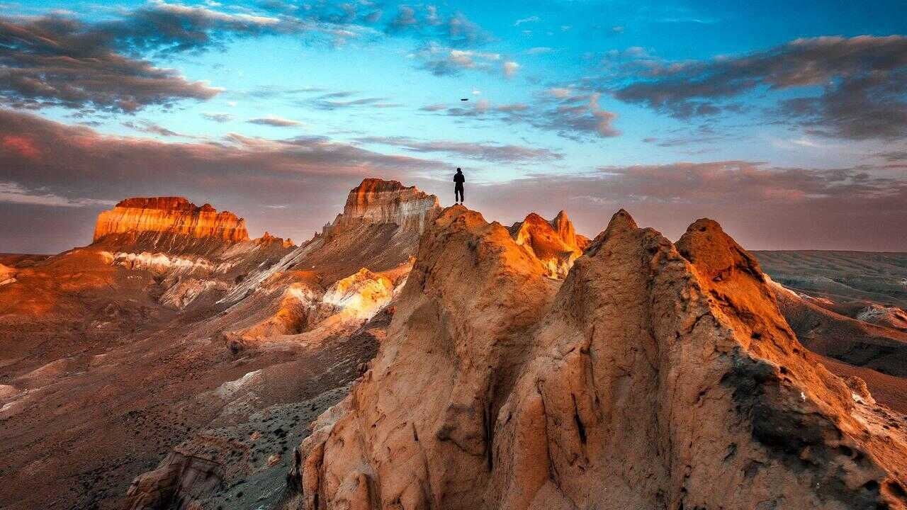 Қоғамдық порно құл