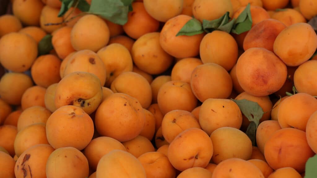 Unsplash, бильд-редактор: Дастан Шанай