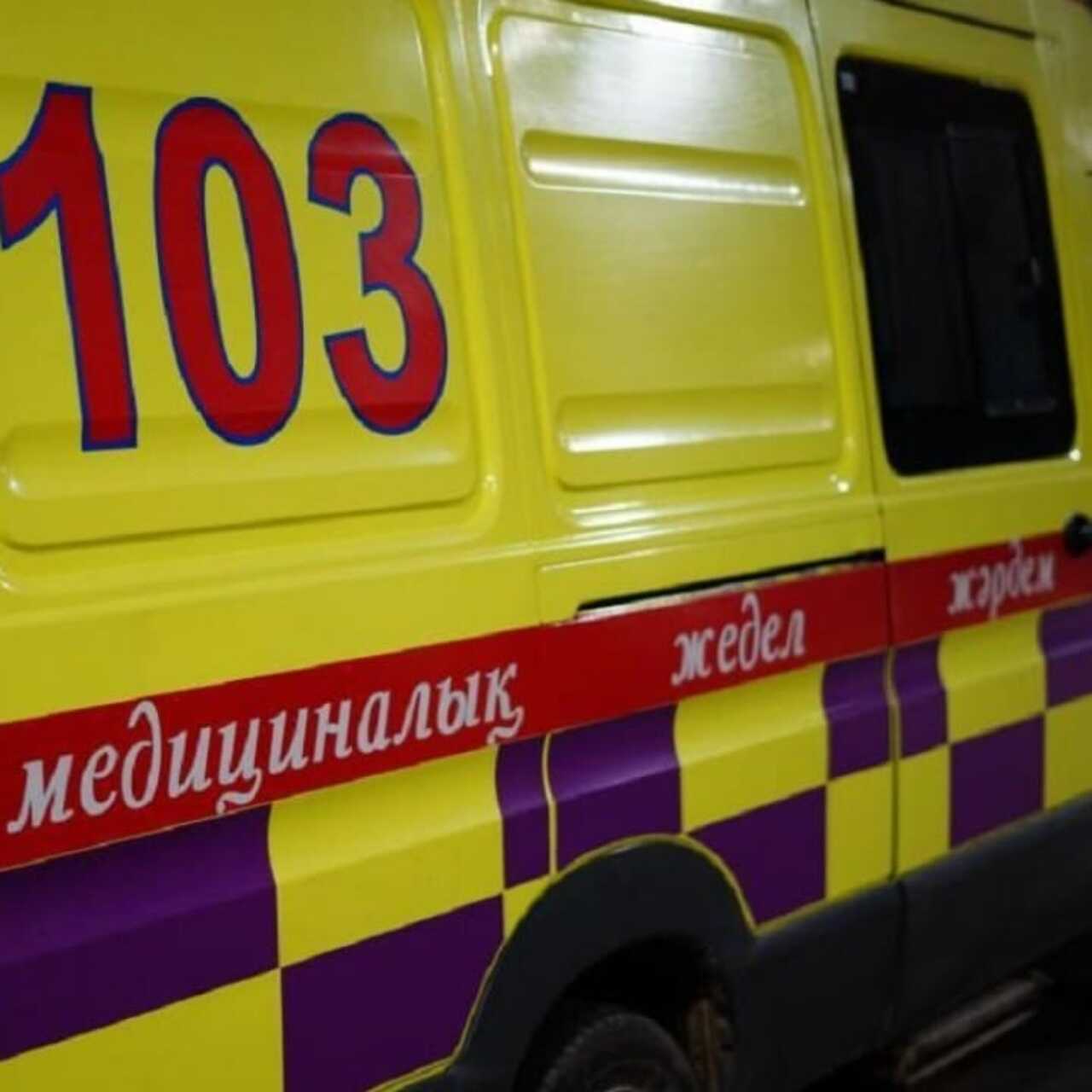 Жануарлармен део мультфильміндегі порно