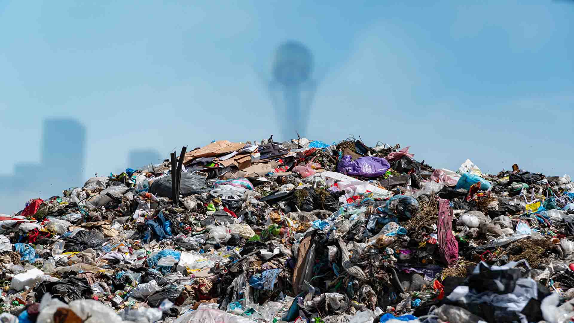 Ең лас және ең азғын жезөкшелер мен траннилер Ең лас және ең азғын жезөкшелер мен траннилер