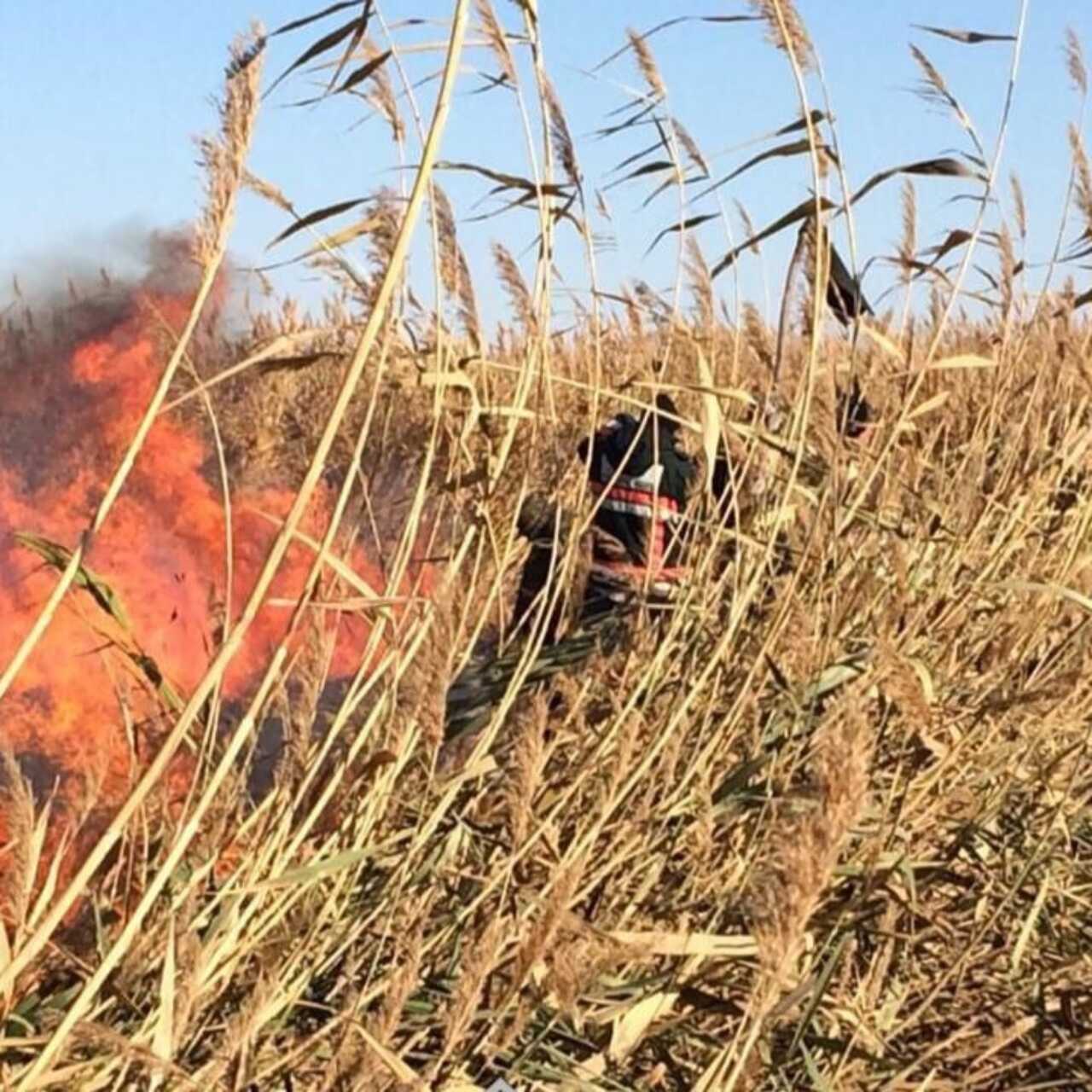 Жалаңаш балаларды көрсетіңіз Тік тұрған кезде жыныс мүшесі төмен қарайды.