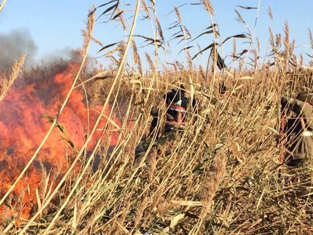 Жалаңаш еркек бұлшықеттердің видеосы