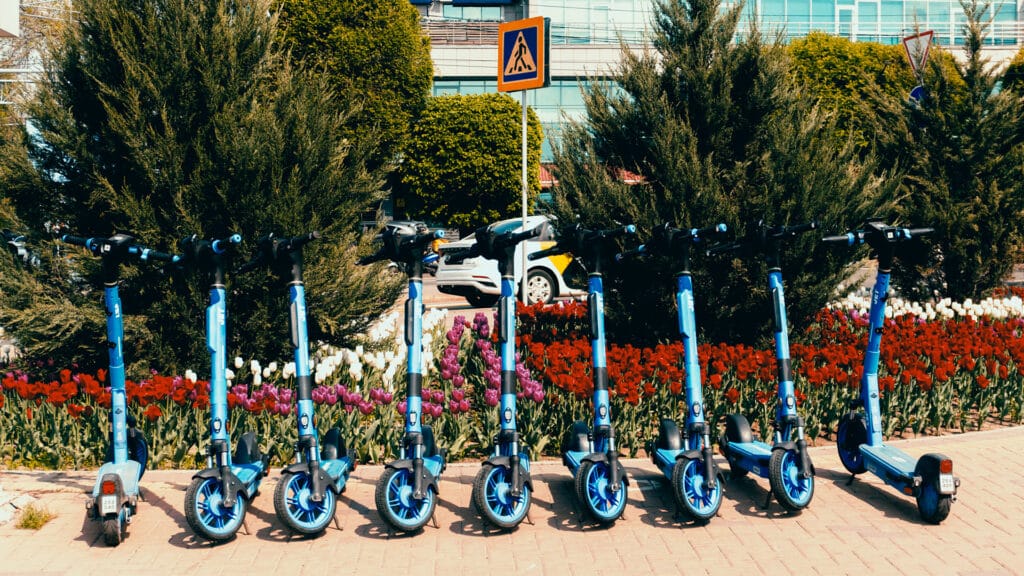 Фото: Делия Айдаралиева, бильд-редактор: Артур Алескеров