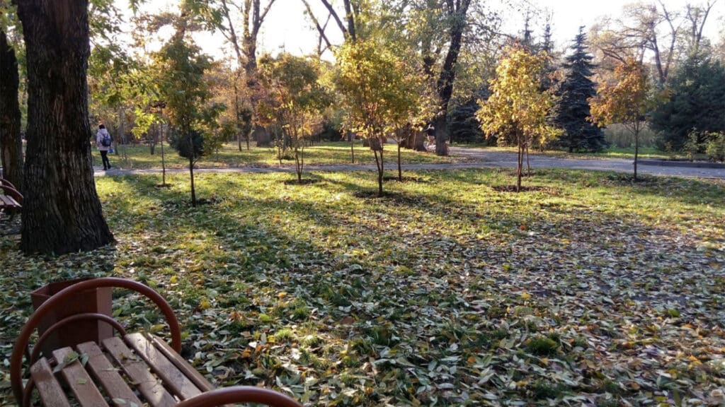 Фото: 2gis.kz, бильд-редактор: Артур Алескеров