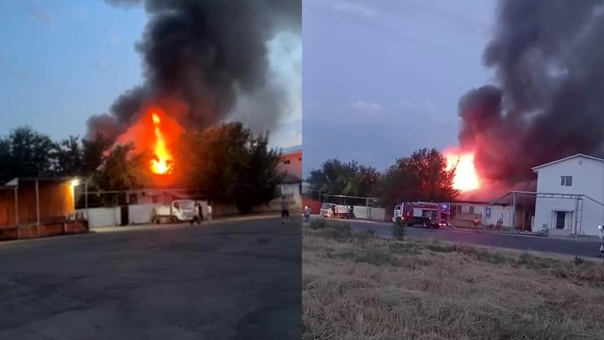 Марғұлан Сейсембаевтың Ащыбұлақтағы құс фабрикасы өртенді / коллаж kursiv.media(фото: t.me/negemedia), бильд-редактор: Дастан Шанай