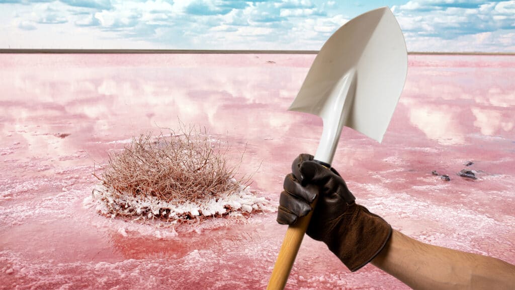 Фото: коллаж kursiv.media, бильд-редактор: Дастан Шанай