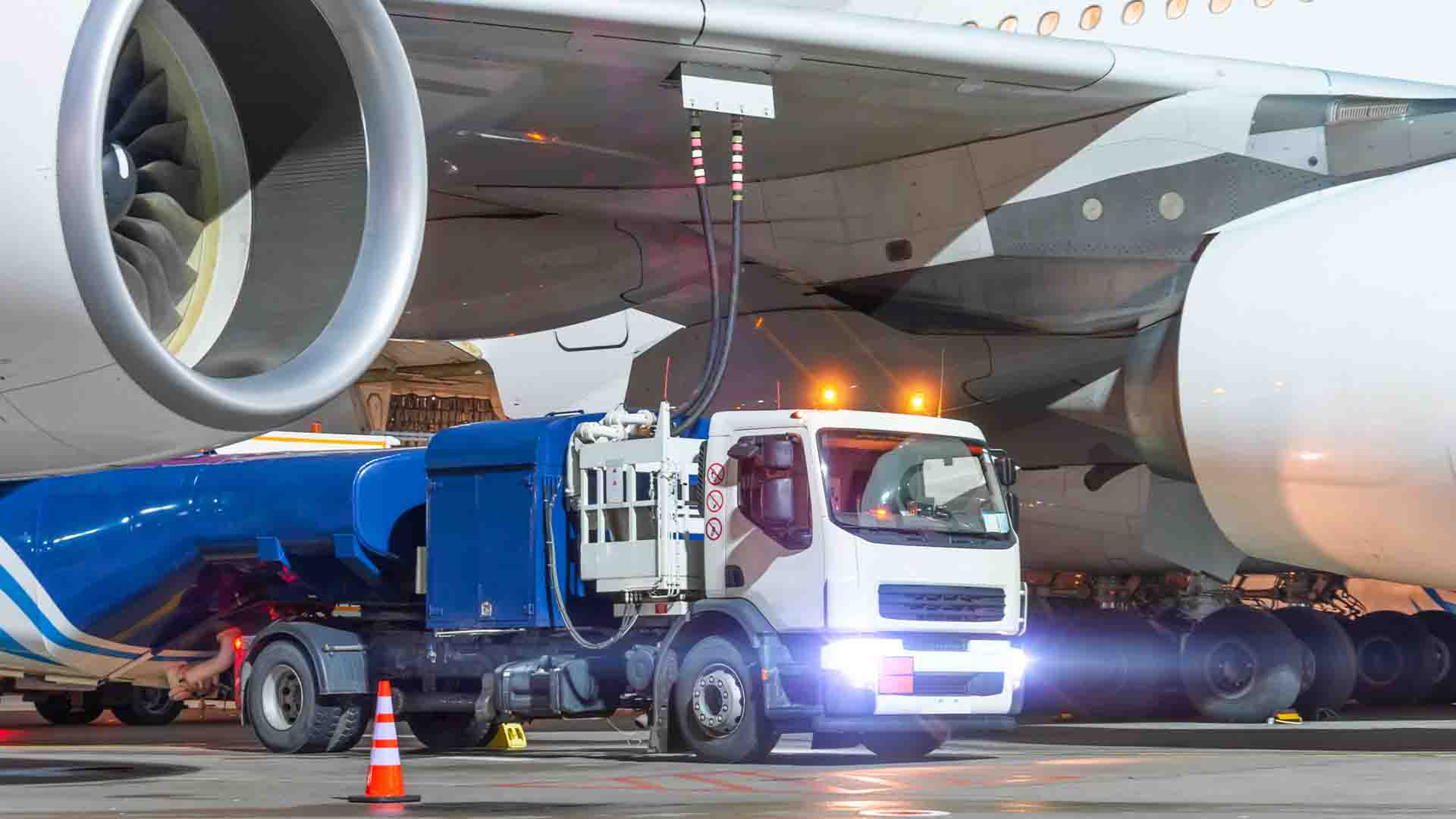 Семіз, қырынбаған әйелдердің бейнелері
