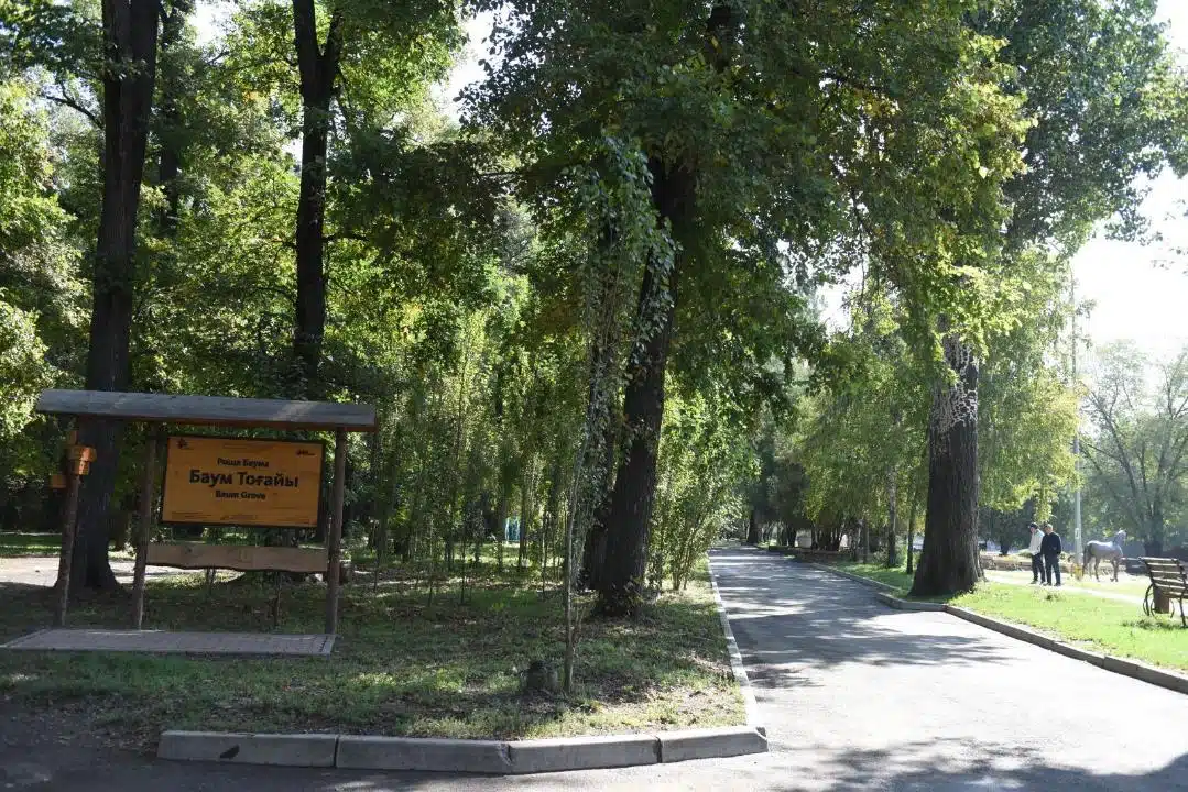 Баум тоғайын абаттандыруға 4,7 млрд теңге жұмсалады