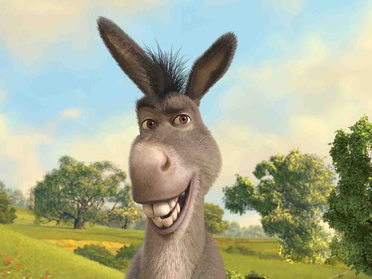 Старкон порно Ұйқыдағы сексуалдық порно көру