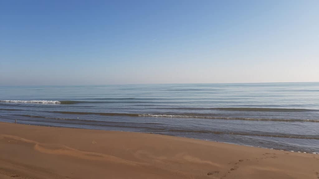 shutterstock, бильд-редактор: Дастан Шанай