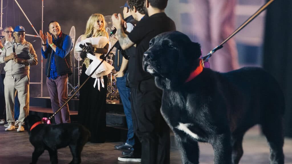 коллаж kursiv.media, бильд-редактор: Дастан Шанай