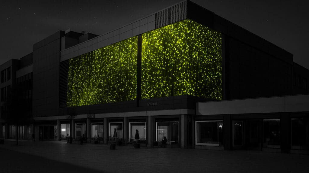 Коллаж kursiv.media, бильд-редактор: Дина Карамчакова