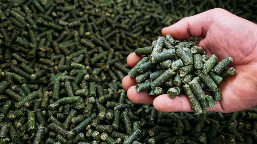 Завод по производству кормов за 5 млрд тенге запустят в СКО