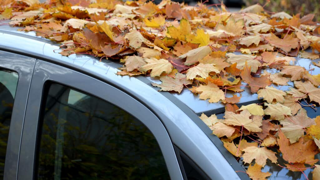 Механики рассказали, как подготовить автомобиль к осени