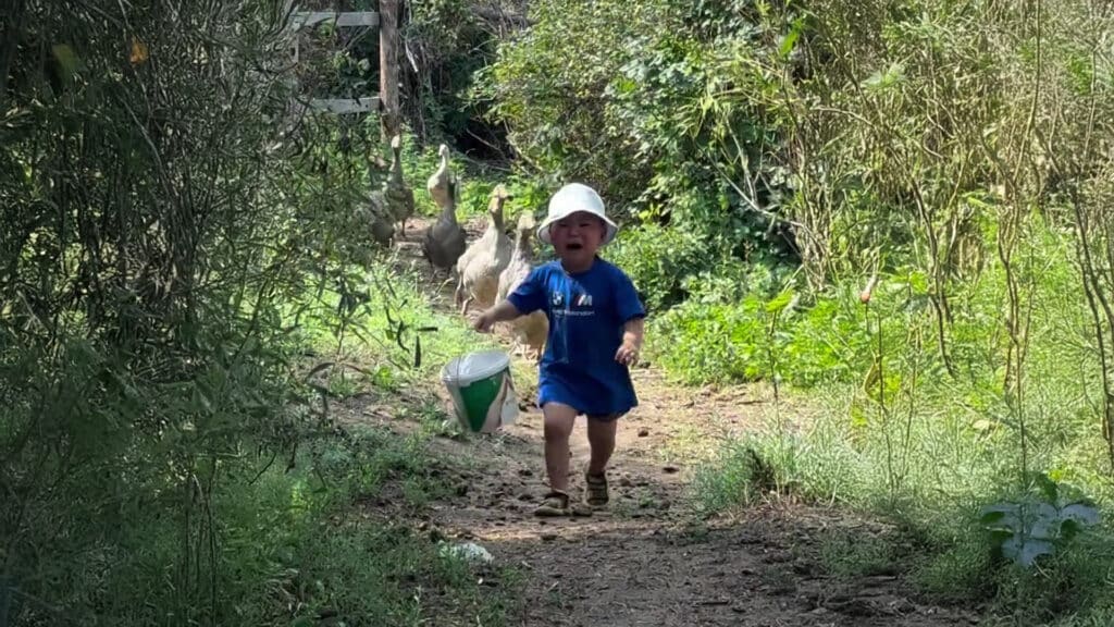 instagram.com/mahambet_ermekov, бильд-редактор: Дастан Шанай