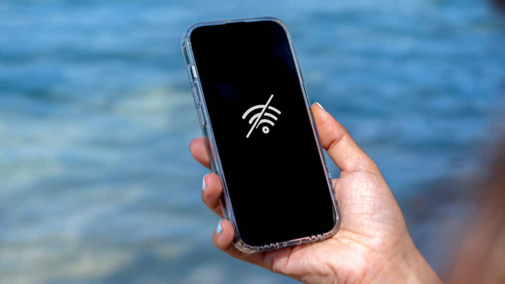 Сайты госорганов смогут работать без оплаты интернета