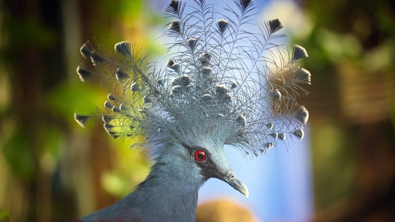 Порно кинолар Ресей