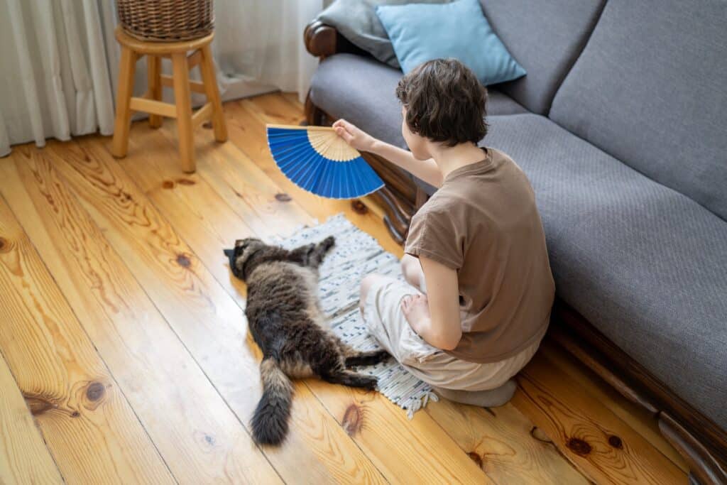 Жара до +44 градусов ожидается в Казахстане