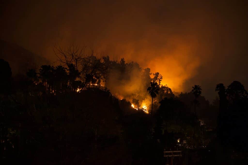 Страховая компания Тимура Турлова выплатила $1 млн в связи с пожарами в США