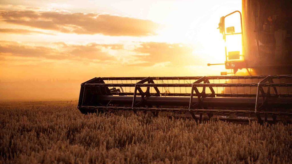 Фото: shutterstock