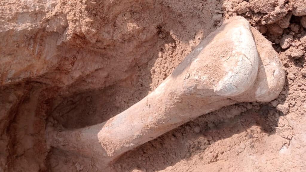 Фото: gov.kz, бильд-редактор: Дина Карамчакова